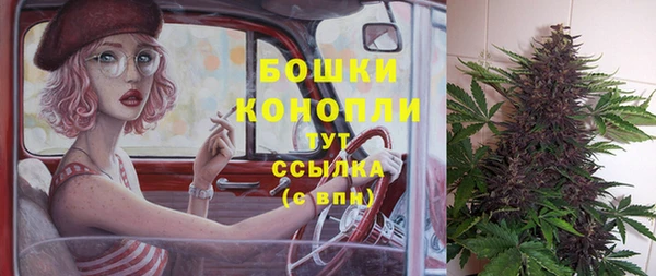 СК Вяземский