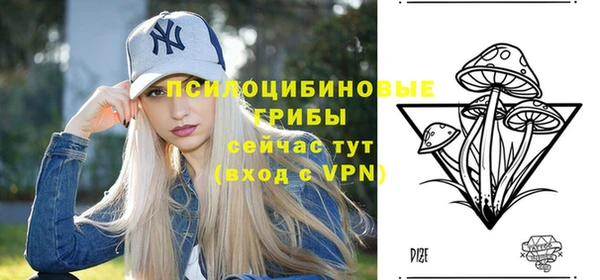 СК Вяземский