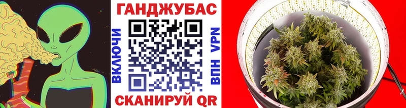 Бошки Шишки тримм Ельня
